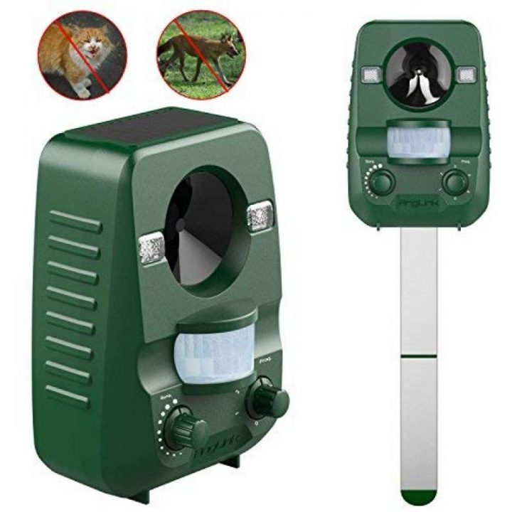 Répulsif Chat Pour 2020 -> Faites Le Bon Choix encequiconcerne Repousse Chat Jardin