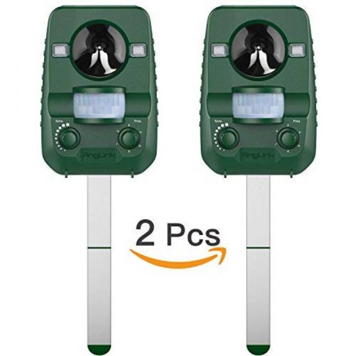 Répulsif Chat Pour 2020 -> Faites Le Bon Choix intérieur Repulsif Chat Jardin Répulsif Chat Pour 2020 -> Faites Le Bon Choix intérieur Repulsif Chat Jardin