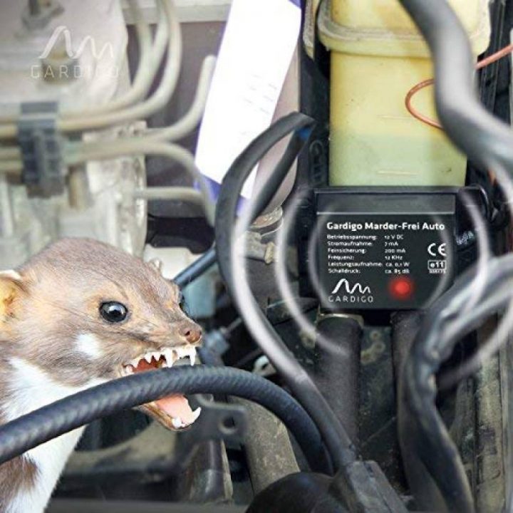 Répulsif Chat Voiture : Faites Le Bon Choix Pour 2020 à Repousse Chat Jardin Répulsif Chat Voiture : Faites Le Bon Choix Pour 2020 à Repousse Chat Jardin