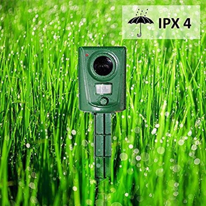 Répulsif Chat Voiture : Faites Le Bon Choix Pour 2020 à Repulsif Chat Jardin Répulsif Chat Voiture : Faites Le Bon Choix Pour 2020 à Repulsif Chat Jardin