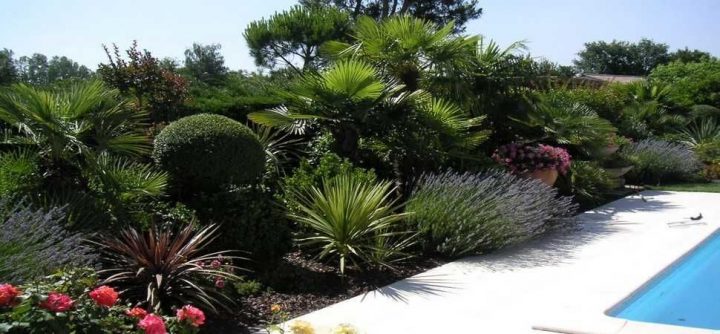 Résultat De Recherche D'Images Pour "Massif Olivier pour Idee Massif Mediterraneen Résultat De Recherche D'Images Pour "Massif Olivier pour Idee Massif Mediterraneen