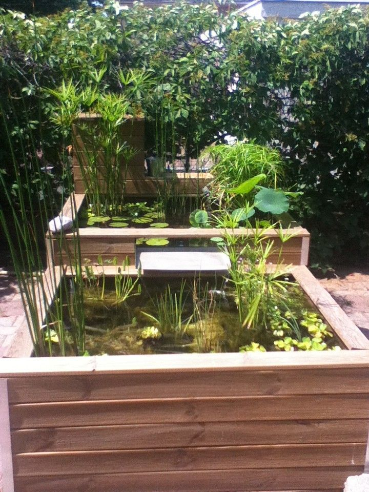 Salut À Tous ! Après De Longues Semaines D'Absence, Je avec Bassin De Jardin Hors Sol Salut À Tous ! Après De Longues Semaines D'Absence, Je avec Bassin De Jardin Hors Sol