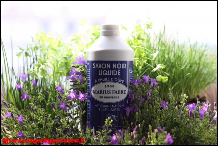 Savon Noir Et Pucerons, Un Potager Bio ! | Bienvenue Sur à Savon Noir Jardin