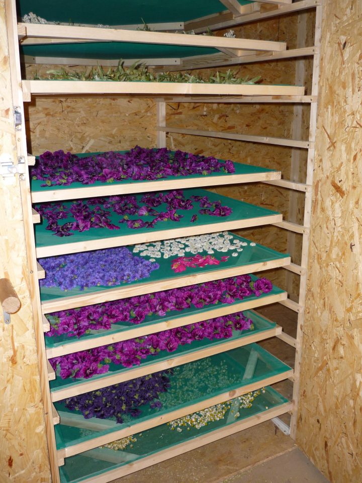 Se Soigner Par Les Plantes La Science Infuse dedans Sechoir De Jardin Se Soigner Par Les Plantes La Science Infuse dedans Sechoir De Jardin