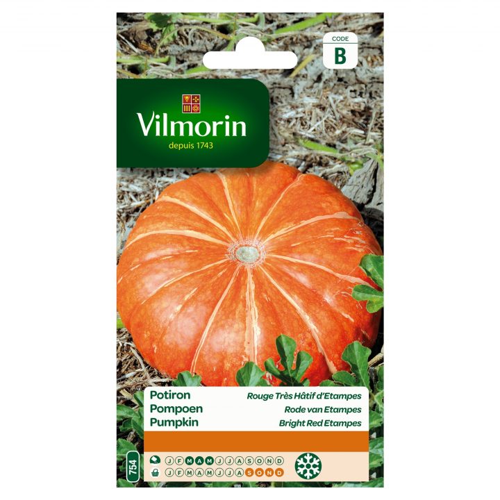 Semences De Potiron Vilmorin – Mr.bricolage à Potiron Meuble Semences De Potiron Vilmorin – Mr.bricolage à Potiron Meuble