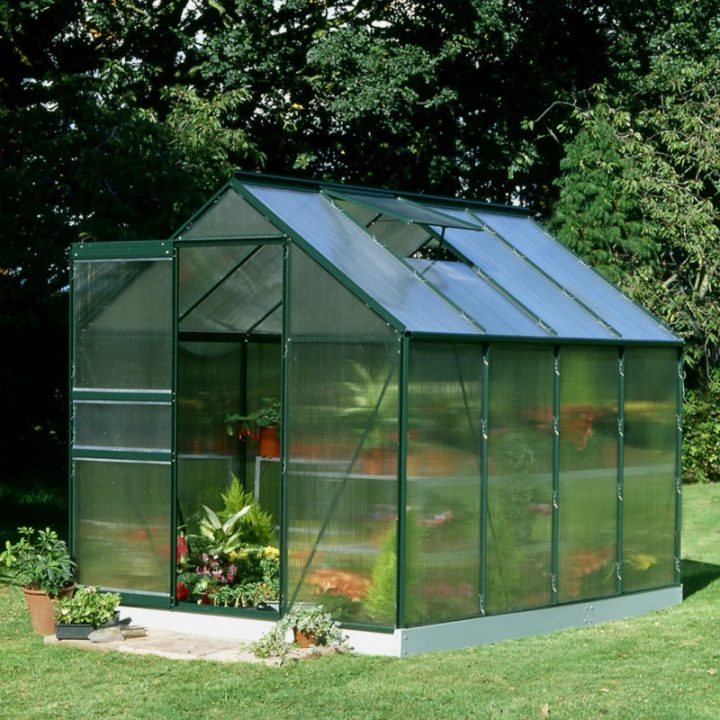 Serre De Jardin 5M² Verte En Polycarbonate 4Mm Popular Halls tout Serre De Jardin Jardiland
