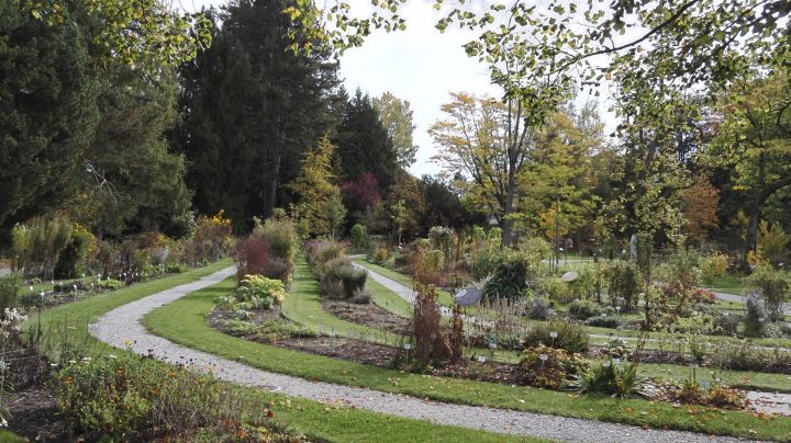 Serre De Jardin D Occasion – Idees Conception Jardin concernant Serre De Jardin Occasion