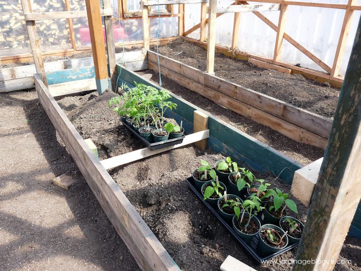 Serre De Jardin – Fabriquer Des Bacs De Culture En Bois pour Fabriquer Une Serre De Jardin Serre De Jardin – Fabriquer Des Bacs De Culture En Bois pour Fabriquer Une Serre De Jardin