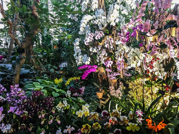 Serre De Jardin Orchidée – Veranda Et Abri Jardin à Petite Serre De Jardin Pas Cher Serre De Jardin Orchidée – Veranda Et Abri Jardin à Petite Serre De Jardin Pas Cher