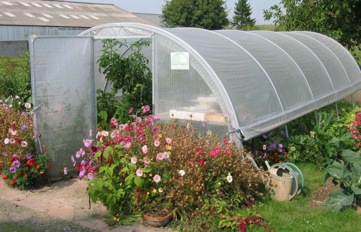 Serre De Jardin Petit Prix – Mobilier De Jardin Et Terasse tout Petite Serre De Jardin Pas Cher Serre De Jardin Petit Prix – Mobilier De Jardin Et Terasse tout Petite Serre De Jardin Pas Cher