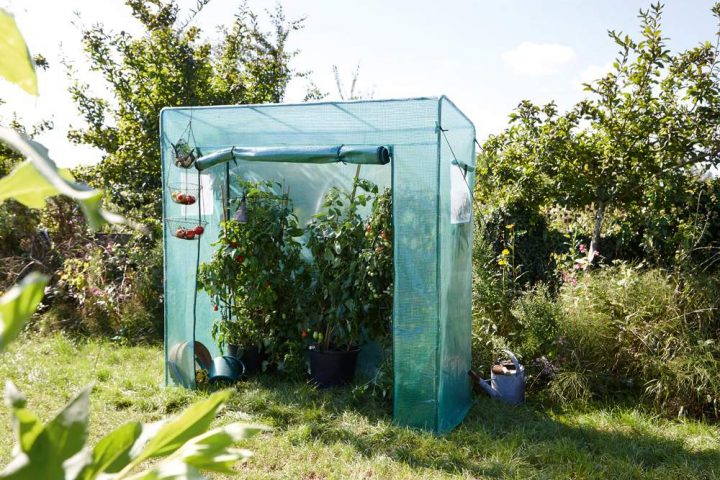 Serre De Jardin Petite, Pas Chère, De Balcon Notre concernant Serre De Jardin Leroy Merlin