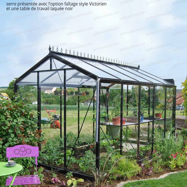 Serre De Jardin Prestige Rétro Laqué Noir – Serre Jardin pour Serre De Jardin Jardiland