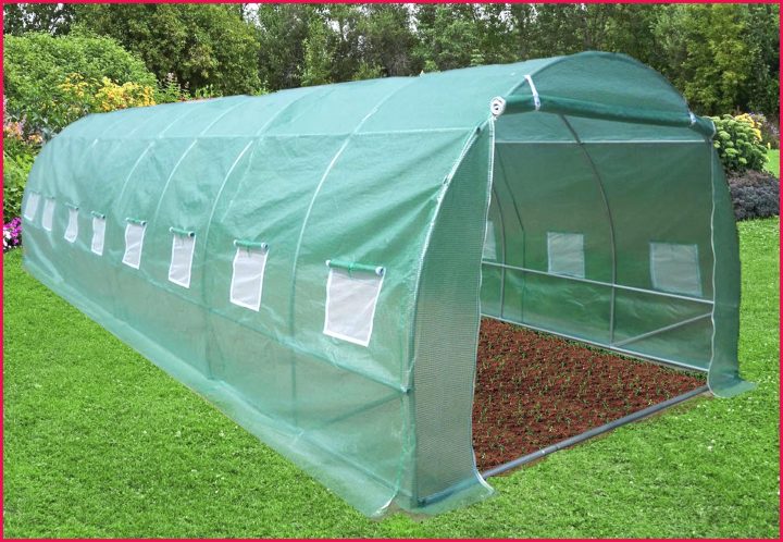 Serre Tunnel Leclerc Inspirant Galerie 45 Beau Collection tout Mini Serre De Jardin Leclerc