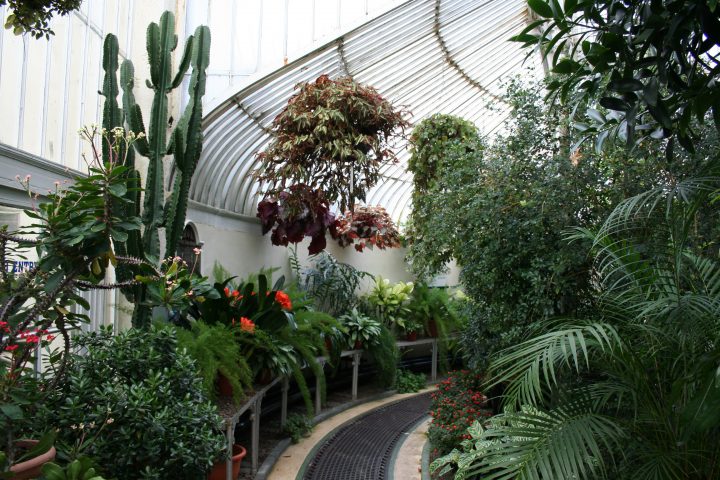 Serres De Jardin D Occasion – Bois pour Serre De Jardin Occasion Serres De Jardin D Occasion – Bois pour Serre De Jardin Occasion