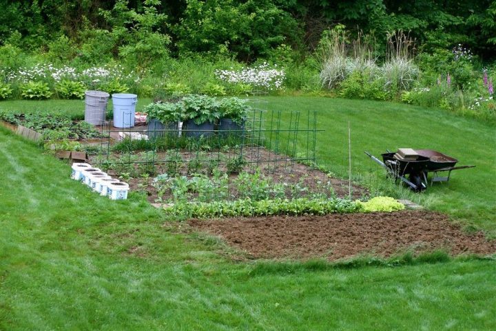 Shape Up Montana: Love Fresh Veggies? Try A Tiny Garden concernant Aménager Un Petit Jardin De 10M2 Shape Up Montana: Love Fresh Veggies? Try A Tiny Garden concernant Aménager Un Petit Jardin De 10M2