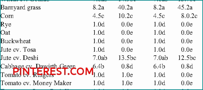 Table De Jardin Pas Cher Leclerc Le Meilleur De Abri De encequiconcerne Table De Jardin Pas Cher Leclerc