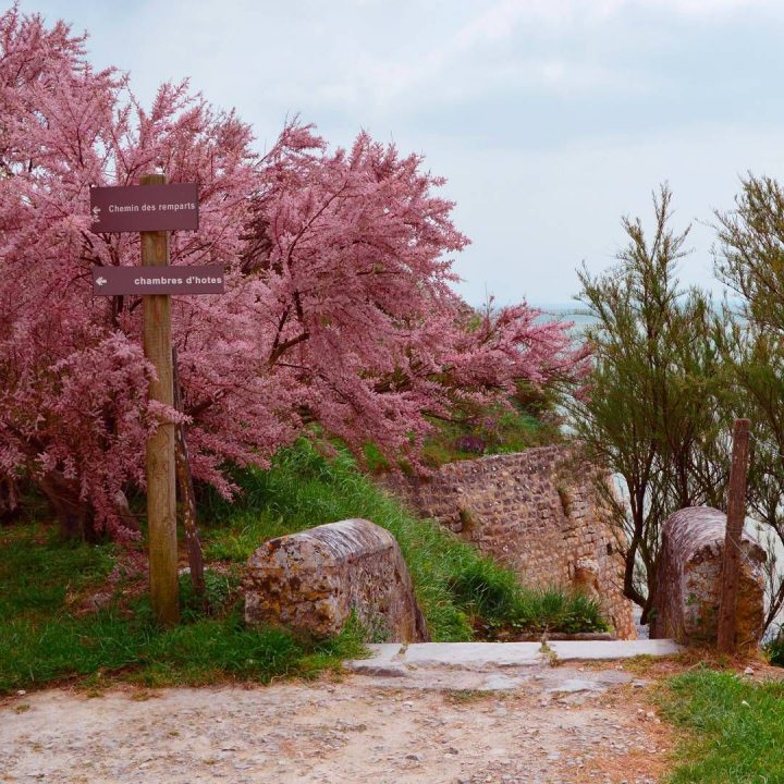 Talmont Sur Gironde #talmontsurgironde #gironde destiné Chambre D Hote Talmont Sur Gironde Talmont Sur Gironde #talmontsurgironde #gironde destiné Chambre D Hote Talmont Sur Gironde
