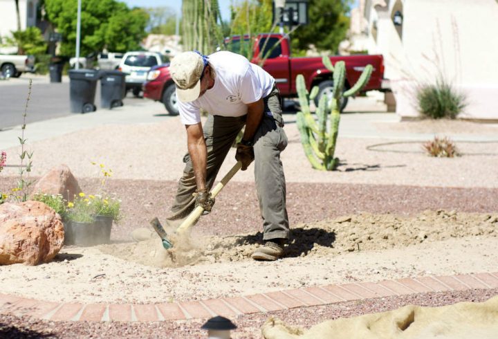 Tarif D'Un Jardinier Professionnel à Tarif Horaire Entretien Jardin