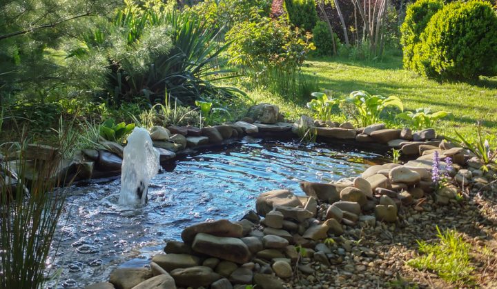 Tarifs Et Prestations D'Aménagement De Milieu Aquatique pour Exemple D Aménagement De Jardin