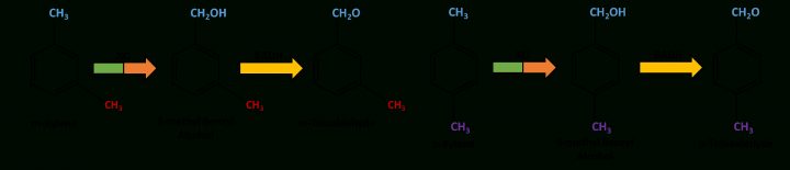 Template:project – 2016.Igem intérieur Xylens Template:project – 2016.Igem intérieur Xylens
