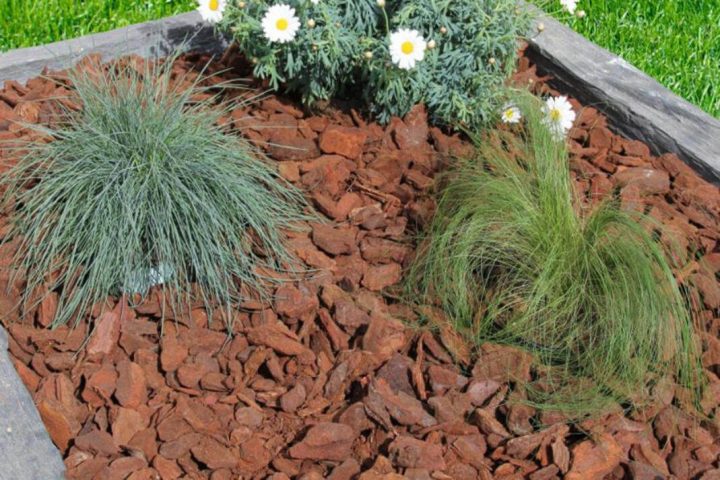 Terreaux – Delobelle & Fils pour Ecorces Jardin Terreaux – Delobelle & Fils pour Ecorces Jardin