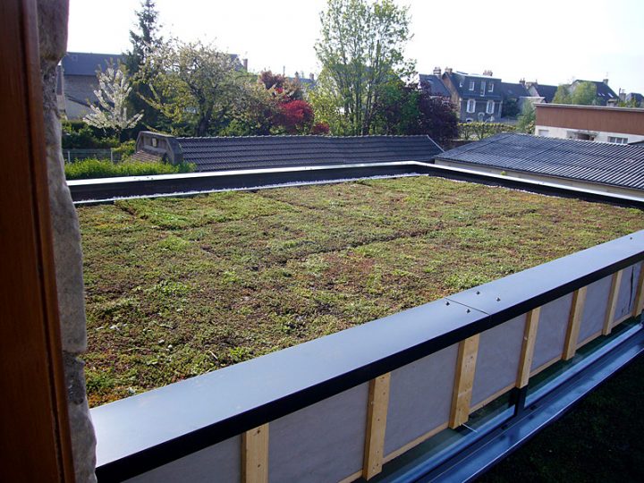 Toiture Végétalisée : Guide Complet – Monequerre.fr tout Pente Toiture Terrasse Toiture Végétalisée : Guide Complet – Monequerre.fr tout Pente Toiture Terrasse