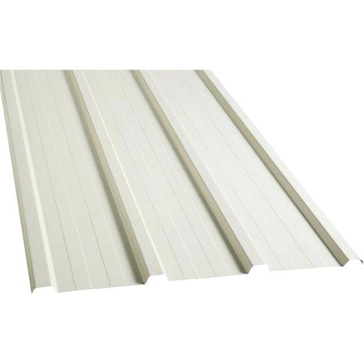 Tole Ondulée Translucide Leroy Merlin – Chaton Chien À Donner pour Wakaflex Brico Dépôt Tole Ondulée Translucide Leroy Merlin – Chaton Chien À Donner pour Wakaflex Brico Dépôt