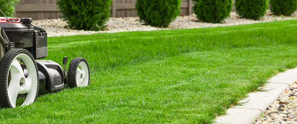 Tonte Pelouse : Tarif, Horaire Tondeuse & Conseils Pour encequiconcerne Tarif Horaire Entretien Jardin