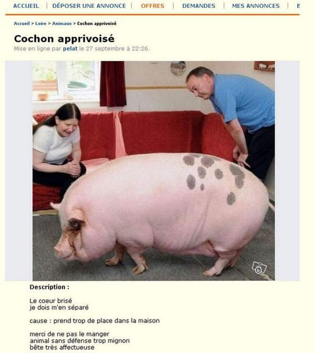 Top 100 Des Pires Annonces Vues Sur Le Bon Coin ! - Page concernant Le Bon Coin36 Top 100 Des Pires Annonces Vues Sur Le Bon Coin ! - Page concernant Le Bon Coin36