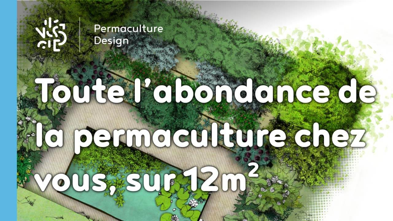 Toute L’abondance De La Permaculture Chez Vous, Sur 12M2 encequiconcerne Exemple Plan Potager Permaculture