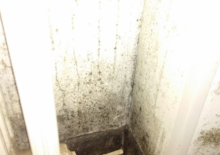 Traitement Moisissures Lunéville Meurthe Et Moselle – Chl Est intérieur Moisissure Plafond Salle De Bain