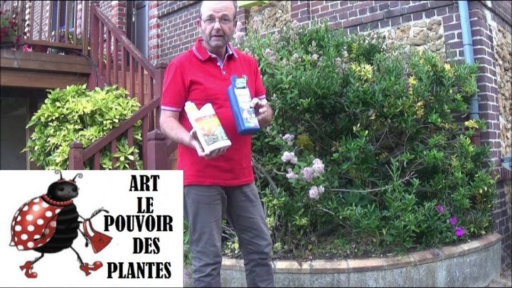 Tuto Jardin: Utilisation Du Savon Noir Comme Insecticide pour Savon Noir Jardin