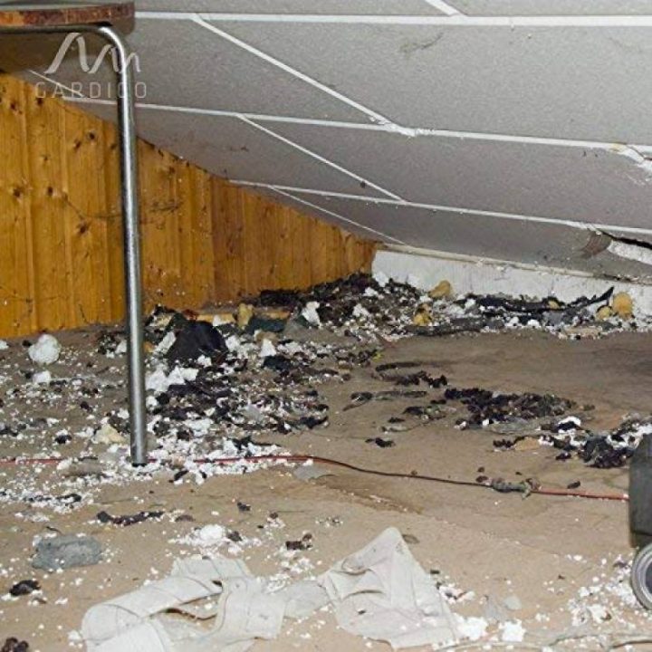 Ultrason Anti Chat Pour 2020 -> Le Comparatif | Protection encequiconcerne Repousse Chat Jardin