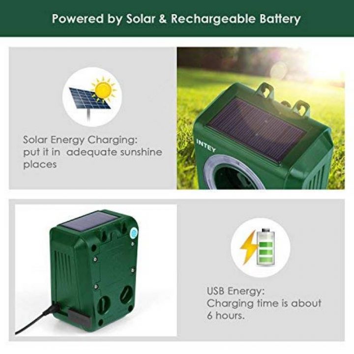 Ultrason Anti Chat Pour 2020 -> Le Comparatif | Protection encequiconcerne Repousse Chat Jardin