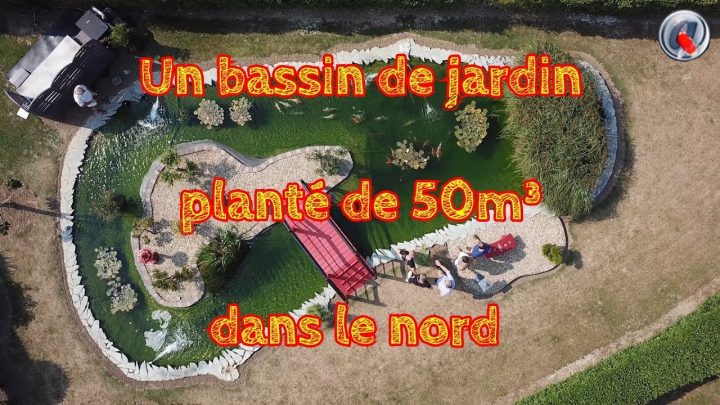 Un Bassin De Jardin Planté Dans Le Nord – A Garden Pond avec Plante Bassin De Jardin