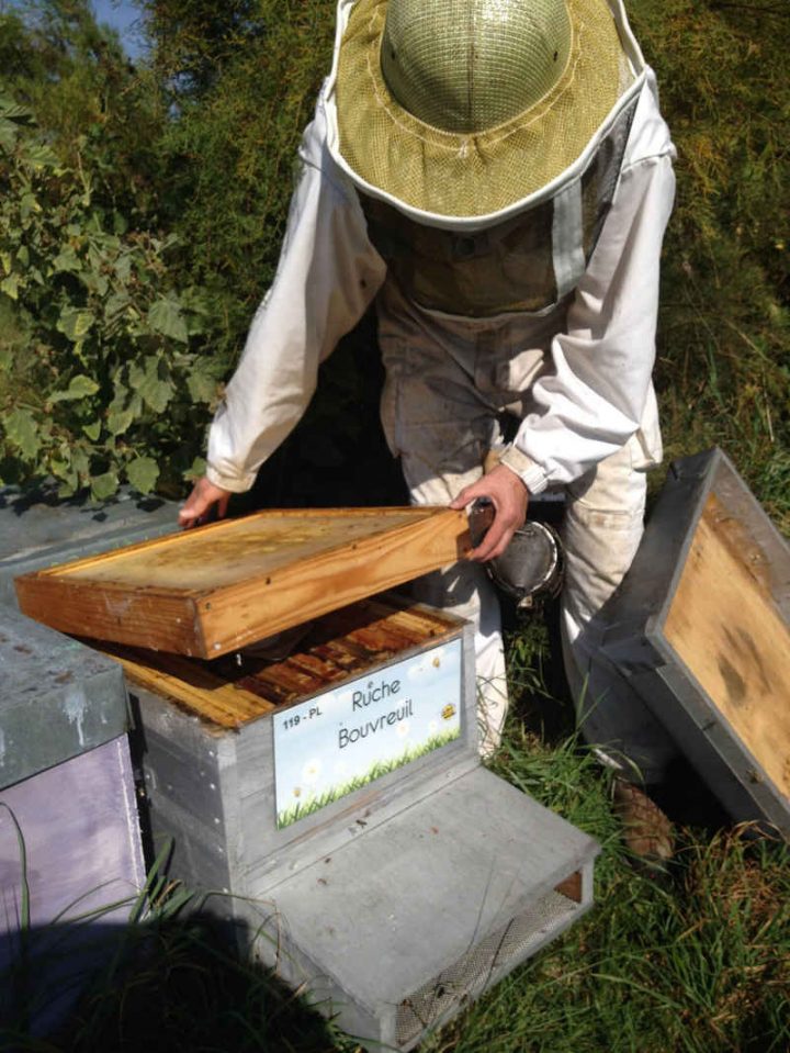 Un Blog Pour Les Abeilles » Actualités Apicole encequiconcerne Ruche Robinet