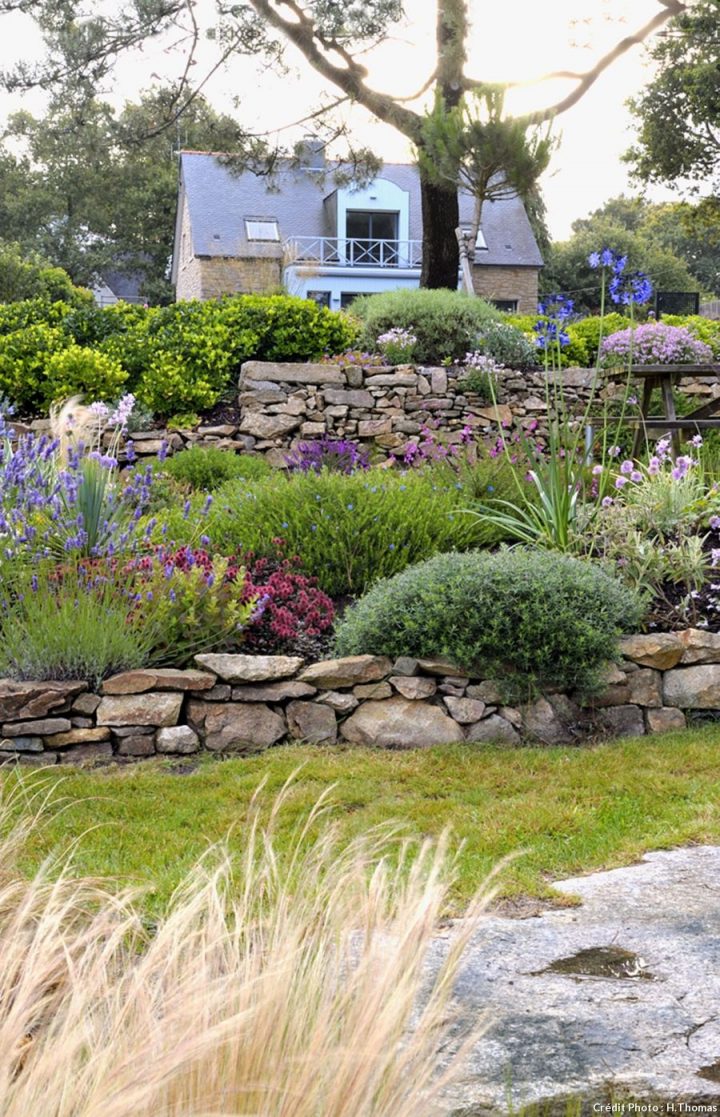 Un Jardin Breton D’agapanthes Et D’hortensias Bleus à Parterre Devant Maison Un Jardin Breton D’agapanthes Et D’hortensias Bleus à Parterre Devant Maison