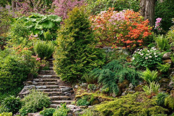 Un Jardin En Pente : Agencer Et Aménager Un Jardin En Pente à Aménager Un Talus En Pente