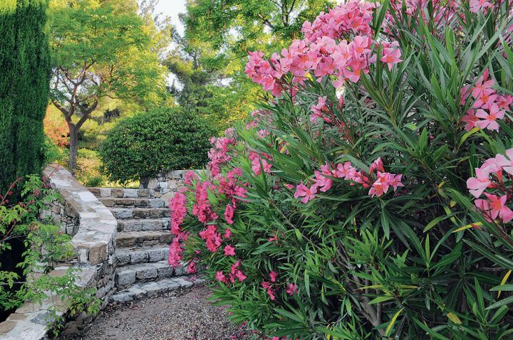 Un Jardin En Terrasses Sur La Méditerranée – Détente Jardin destiné Un Jardin En Méditerranée