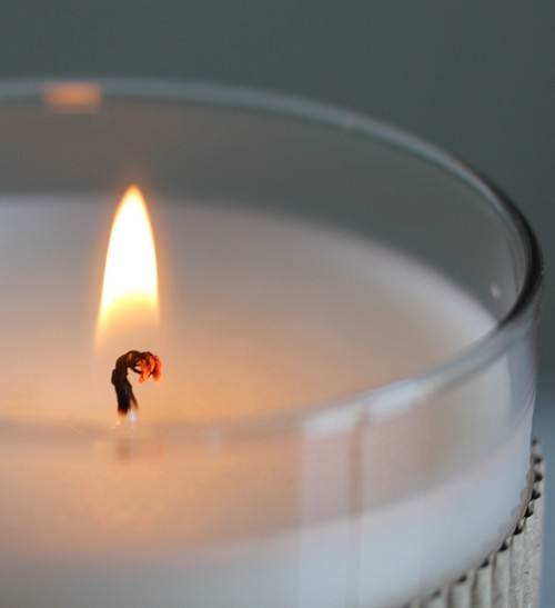 Un Petit Air De Printemps – Féesmaison serapportantà Enchanteur Gel Douche