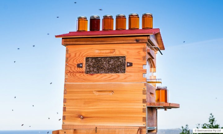 Une Astucieuse Ruche Récolte Le Miel Sans Perturber Les Abeilles intérieur Ruche Robinet