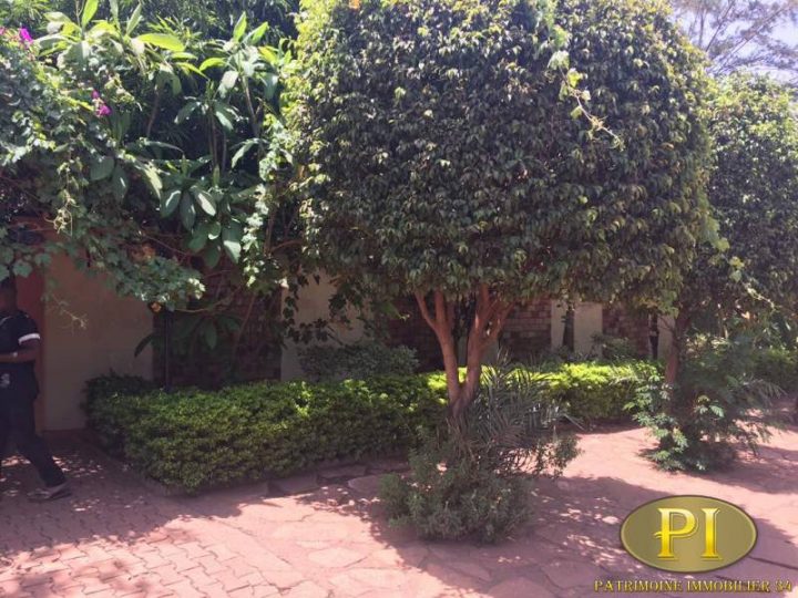 Une Belle Villa Basse Meublée Et Climatisée À Louer À L destiné Louer Une Chambre Chez Soi Une Belle Villa Basse Meublée Et Climatisée À Louer À L destiné Louer Une Chambre Chez Soi