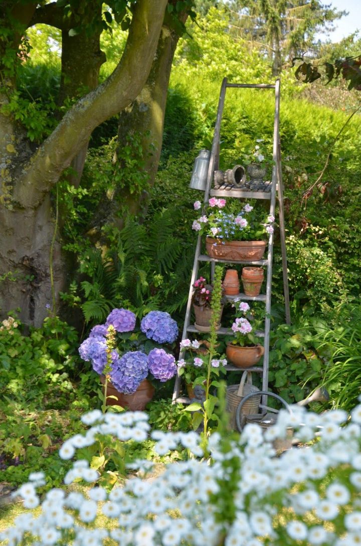 Une Escabelle Fleurie | Tuin, Buitenleven, Herinneringen tout Escabeau De Jardin