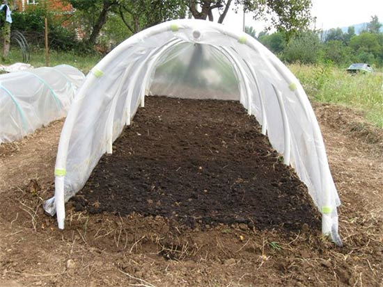 Une Serre Pour Faire Ses Plants Soi-Même | Entretenez Et dedans Fabriquer Une Serre De Jardin Une Serre Pour Faire Ses Plants Soi-Même | Entretenez Et dedans Fabriquer Une Serre De Jardin