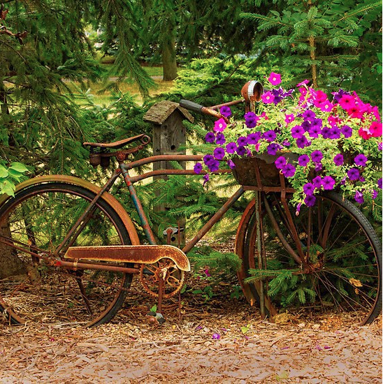 Velo Decoration Jardin pour Velo Deco Jardin