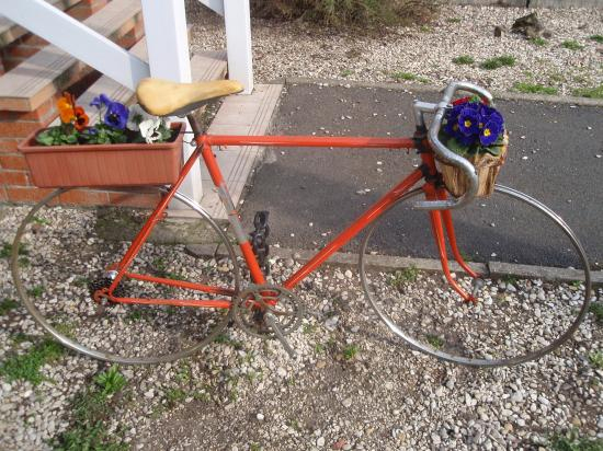 Vélos Spéciaux intérieur Velo Deco Jardin