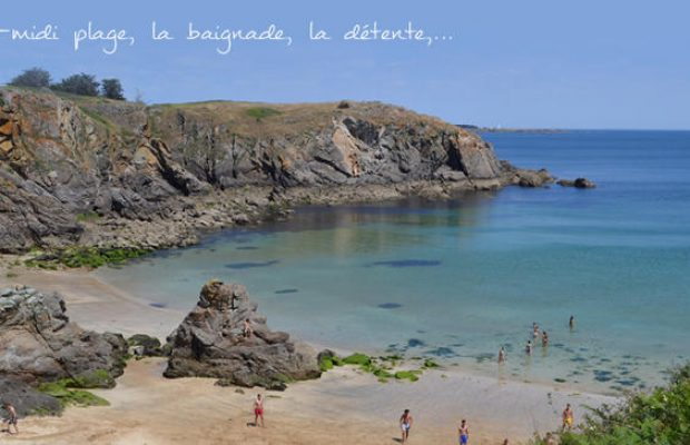 Vendée – Chambres D'Hôtes Le Palmier Puy Du Fou à Chambre D Hote Ile D Yeu Vendée – Chambres D'Hôtes Le Palmier Puy Du Fou à Chambre D Hote Ile D Yeu