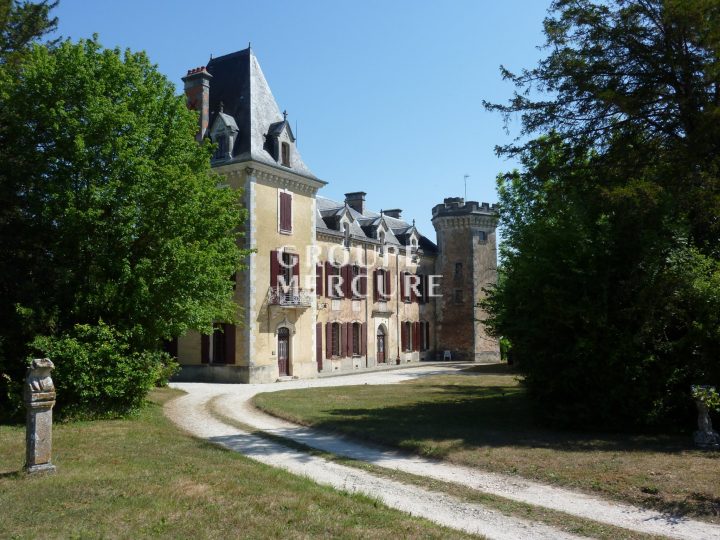 Vente Château Saint-Jean-D'angély (17), 20 Pièces – 8475Po à Chambre D Hote Saint Jean D Angely