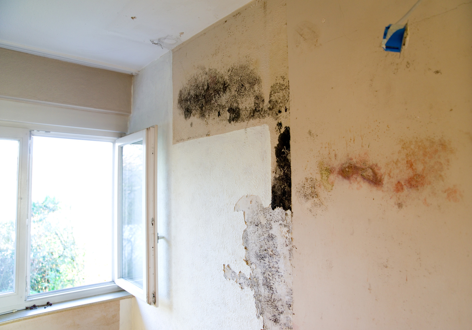 Ventilation Naturelle D'un Logement : Stop Aux Préjugés dedans Ventilation Salle De Bain Sans Vmc