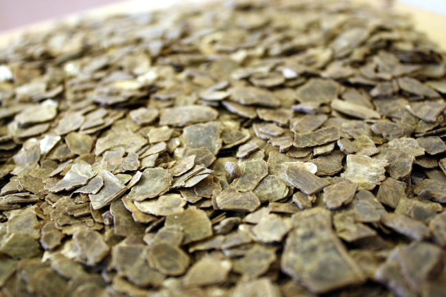 Vermiculite concernant Vermiculite Jardin